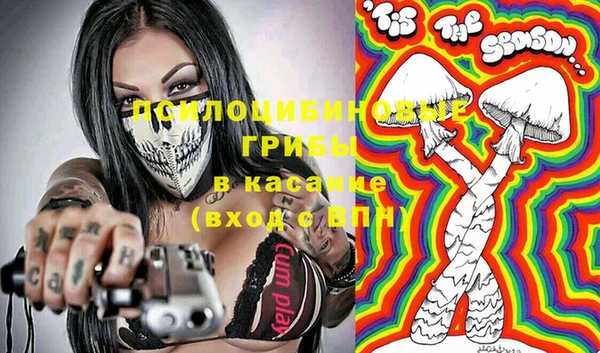 мяу мяу мука Горняк