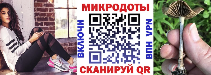 Псилоцибиновые грибы GOLDEN TEACHER  цена наркотик  Заинск 